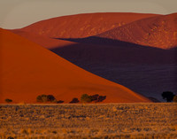 Dunes.Namibia11x14ZF#12